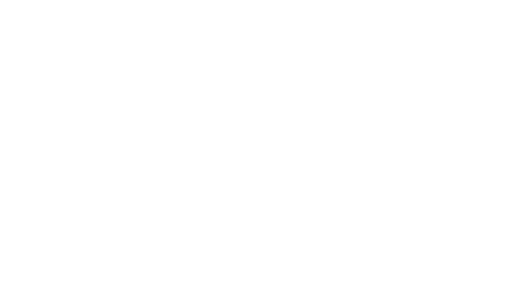 Manifesto